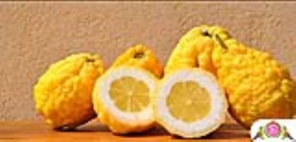 فواید و خواص اترج