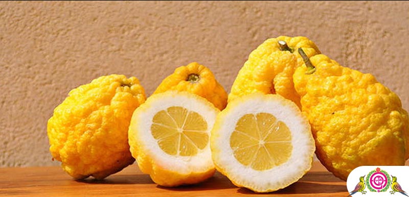 فواید و خواص اترج